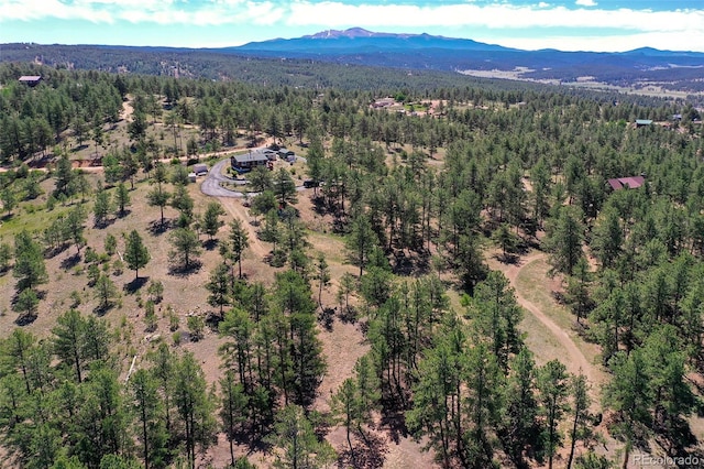 drone / aerial view with a mountain view