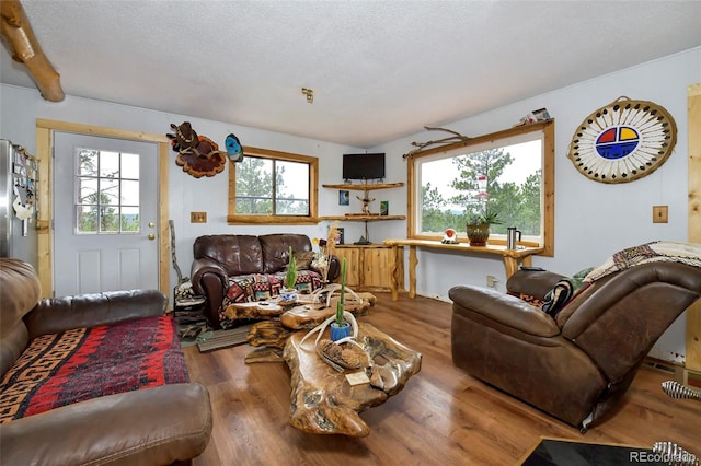 living room featuring wood-type flooring and a textured ceiling