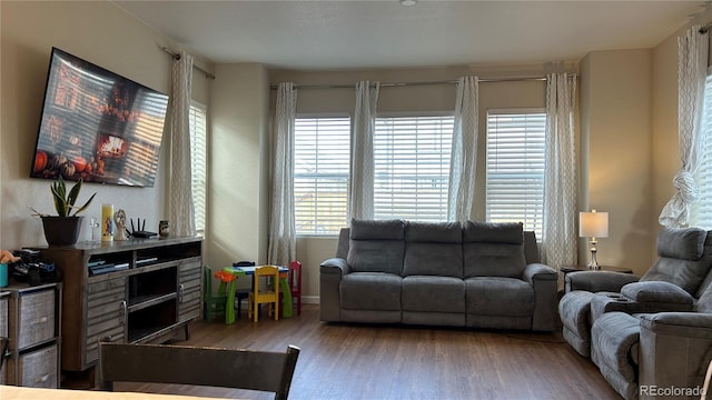 living room featuring wood-type flooring