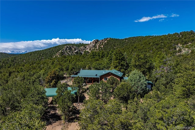 701/700 Bella Vista Ln, Cotopaxi, CO 81223 - view of mountain background featuring a heavily wooded area
