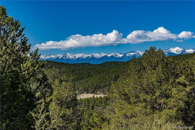 701/700 Bella Vista Ln, Cotopaxi, CO 81223 - view of mountain backdrop featuring a forest