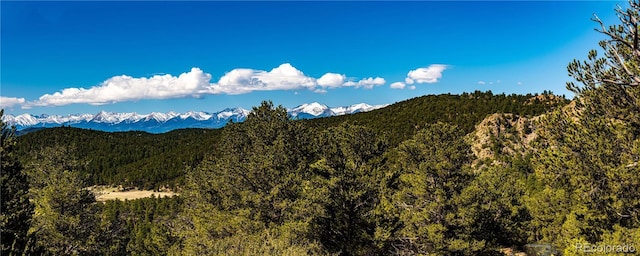 701/700 Bella Vista Ln, Cotopaxi, CO 81223 - view of mountain backdrop with a forest