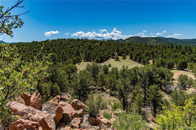 701/700 Bella Vista Ln, Cotopaxi, CO 81223 - view of mountain background with a heavily wooded area