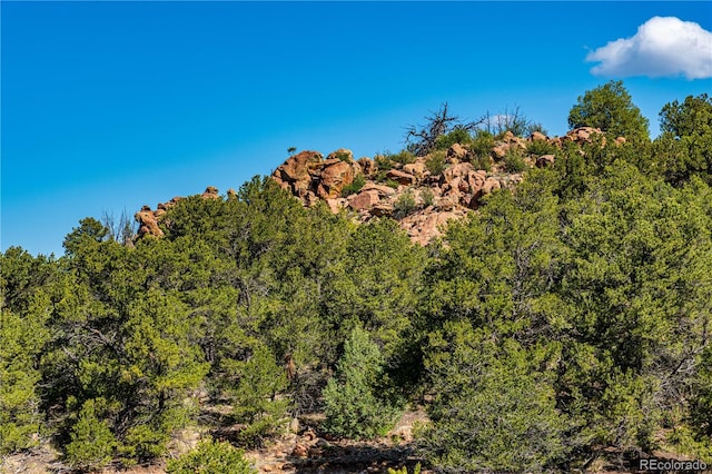 701/700 Bella Vista Ln, Cotopaxi, CO 81223 - view of mountain background featuring a forest