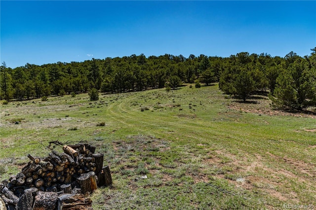 701/700 Bella Vista Ln, Cotopaxi, CO 81223 - view of yard with a view of countryside