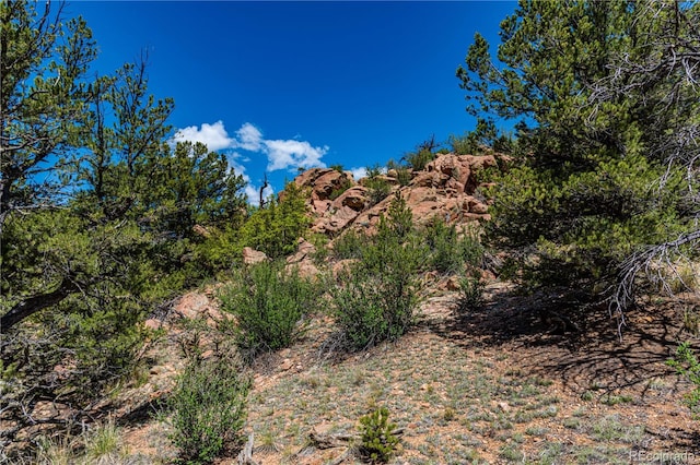 701/700 Bella Vista Ln, Cotopaxi, CO 81223 - view of undeveloped land