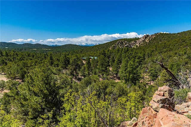 701/700 Bella Vista Ln, Cotopaxi, CO 81223 - mountain view with a forest