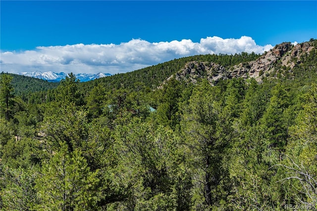 701/700 Bella Vista Ln, Cotopaxi, CO 81223 - view of mountain background with a forest