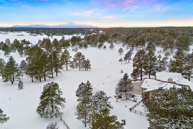 snowy aerial view featuring a mountain view