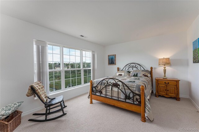 2468 Pine Valley Vw, Colorado Springs, CO 80920 - photo 25