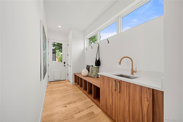 1490 S Vine St, Denver, CO 80210 - mudroom featuring a sink, light wood-type flooring, and recessed lighting