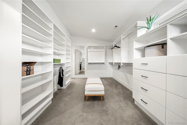 1490 S Vine St, Denver, CO 80210 - walk in closet featuring carpet flooring and vaulted ceiling