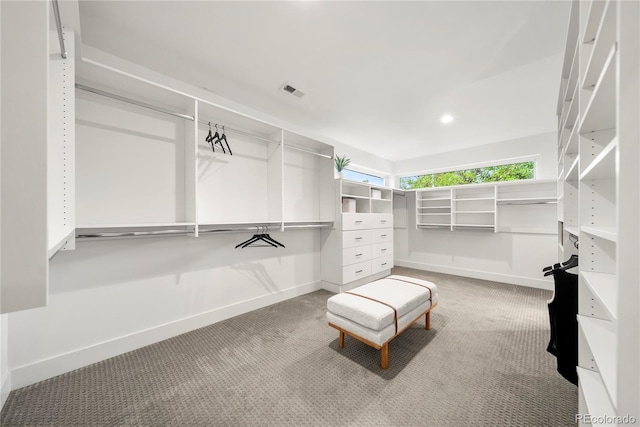 1490 S Vine St, Denver, CO 80210 - spacious closet with carpet