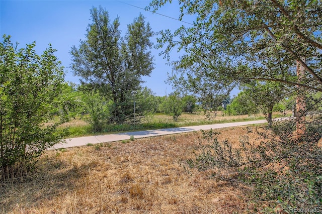 8530 W 46th Ave, Wheat Ridge, CO 80033 - photo 29