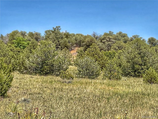 Comanche Dr, Walsenburg CO, 81089 land for sale