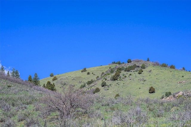 16653 Golden Rod Ln, Morrison, CO 80465