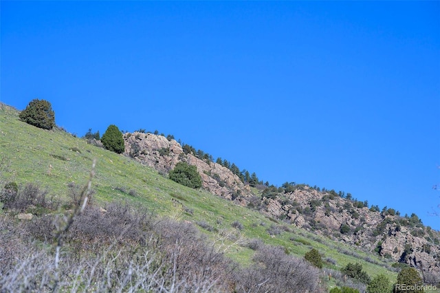 16653 Golden Rod Ln, Morrison, CO 80465