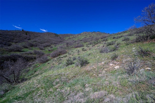 16653 Golden Rod Ln, Morrison, CO 80465