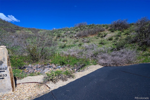 16653 Golden Rod Ln, Morrison, CO 80465