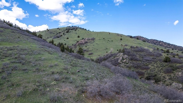 16653 Golden Rod Ln, Morrison, CO 80465