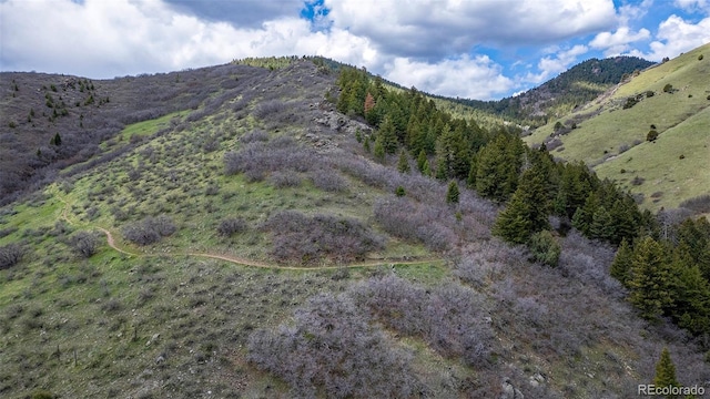 16653 Golden Rod Ln, Morrison, CO 80465