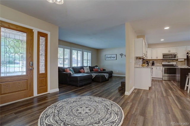 entryway featuring plenty of natural light and dark hardwood / wood-style floors