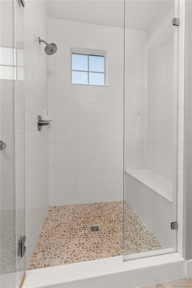 5181 Appleton Way, Castle Rock, CO 80104 - full bath featuring a shower stall