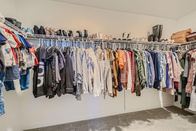 walk in closet with carpet floors