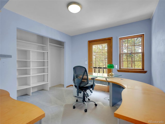 5336 High Rd, Evergreen, CO 80439 - office featuring light carpet