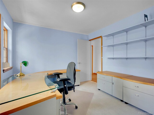 5336 High Rd, Evergreen, CO 80439 - office featuring light colored carpet