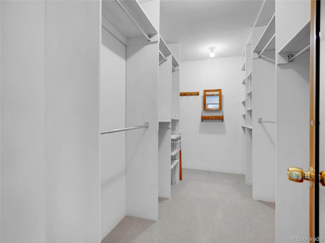 5336 High Rd, Evergreen, CO 80439 - walk in closet featuring light colored carpet