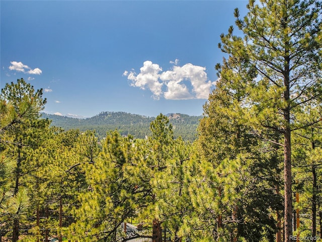 5336 High Rd, Evergreen, CO 80439 - mountain view with a heavily wooded area