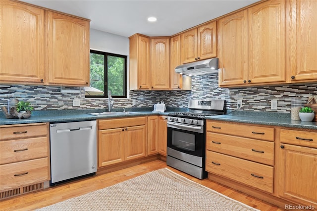 10563 Pierson Cir, Broomfield, CO 80021 - kitchen featuring stainless steel appliances, under cabinet range hood, light wood-type flooring, dark countertops, and decorative backsplash