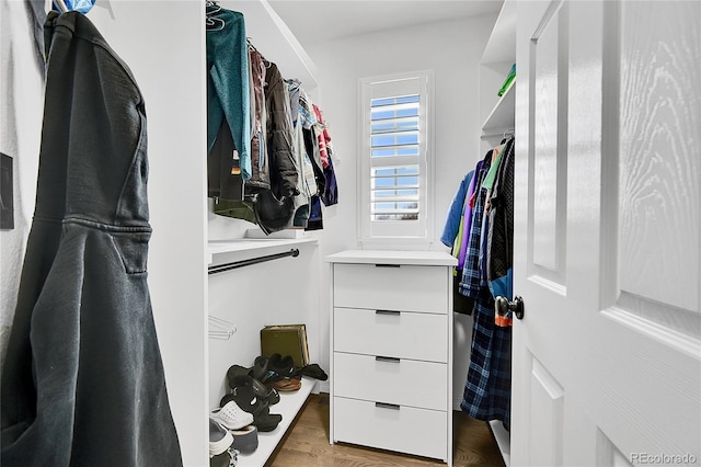 walk in closet featuring hardwood / wood-style flooring