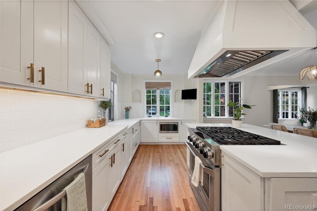 770 Locust, Denver, CO 80220 - kitchen with stainless steel appliances, premium range hood, light wood-style flooring, light countertops, and tasteful backsplash