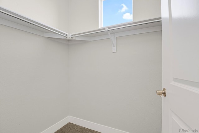 14321 E Tennessee Ave Unit 1-301, Aurora, CO 80012 - spacious closet with carpet