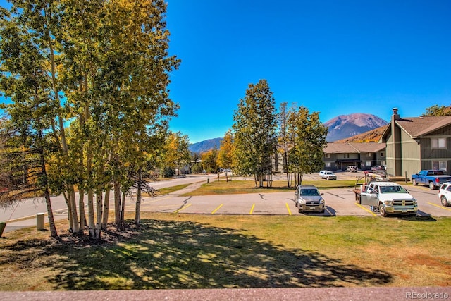 view of yard featuring a mountain view