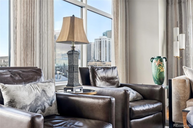 1411 Wynkoop St Unit 806, Denver, CO 80202 - sitting room featuring a view of city