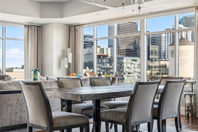 1411 Wynkoop St Unit 806, Denver, CO 80202 - dining space featuring a city view and wood finished floors