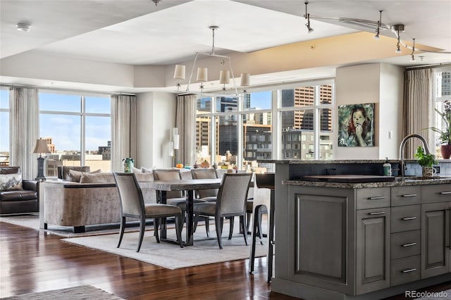 kitchen with a view of city, open floor plan, dark wood-style flooring, and gray cabinetry