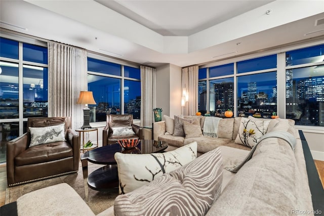 living room with a raised ceiling