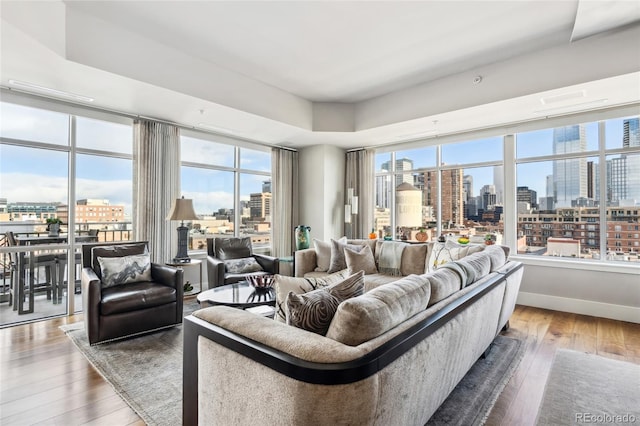 living area featuring a view of city, wood finished floors, and baseboards