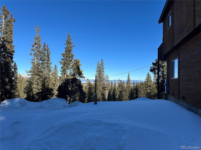 view of yard covered in snow