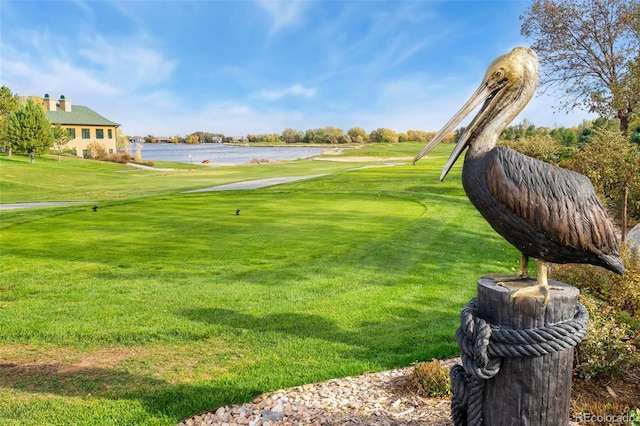 1585 Winter Glow Dr, Windsor, CO 80550 - surrounding community featuring a water view and a lawn