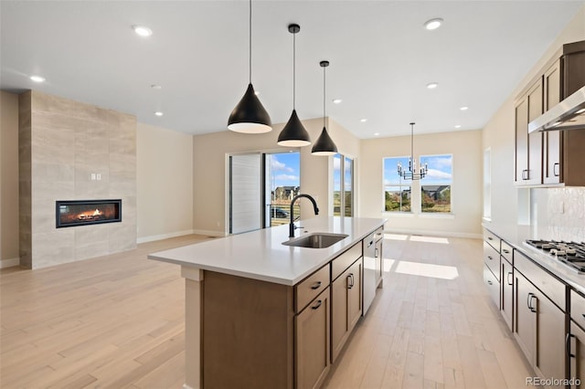 1585 Winter Glow Dr, Windsor, CO 80550 - kitchen with a sink, open floor plan, light wood-style flooring, and a center island with sink