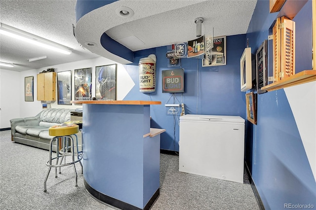 7610 S Garland St, Littleton, CO 80128 - bar with a textured ceiling, carpet floors, and refrigerator