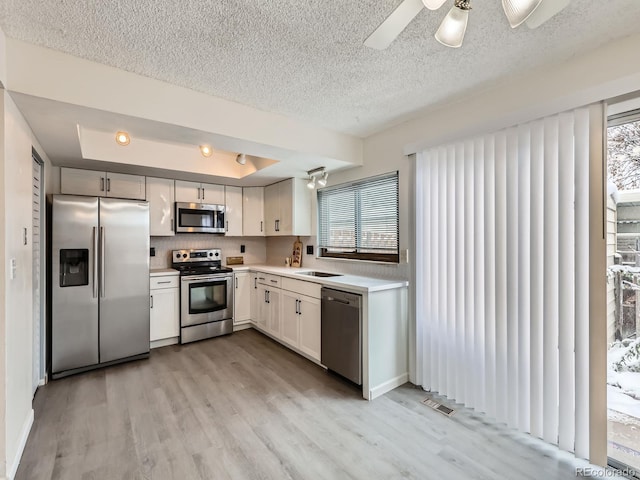 kitchen with a wealth of natural light, ceiling fan, light wood-type flooring, and appliances with stainless steel finishes