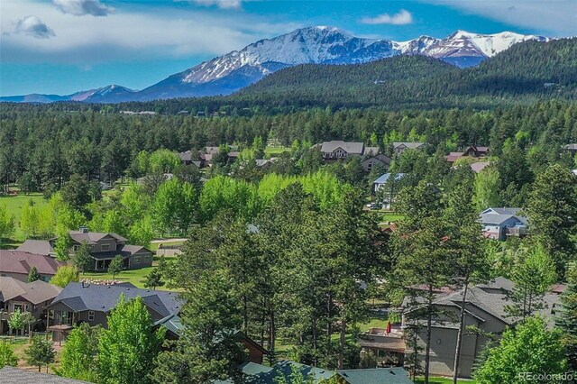 1321 Masters Dr, Woodland Park, CO 80863 - photo 4