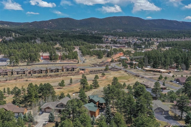 1321 Masters Dr, Woodland Park, CO 80863 - photo 39