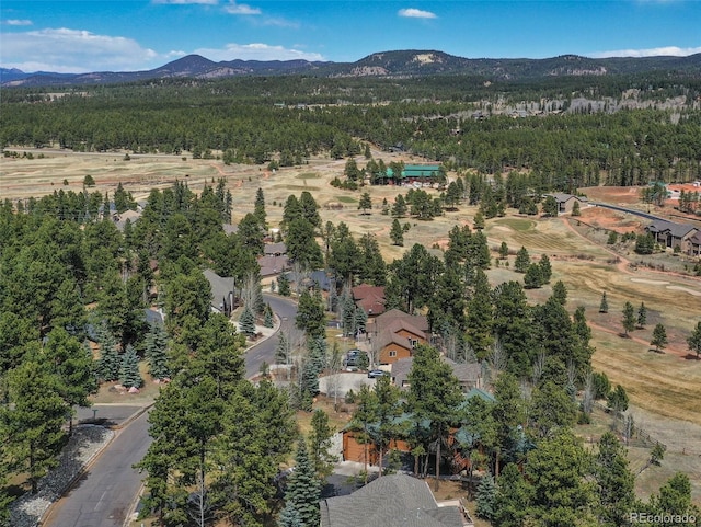 1321 Masters Dr, Woodland Park, CO 80863 - photo 40